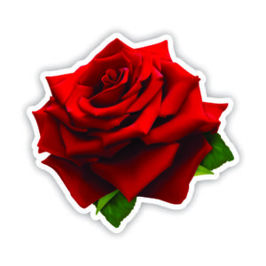 Red Rose 2