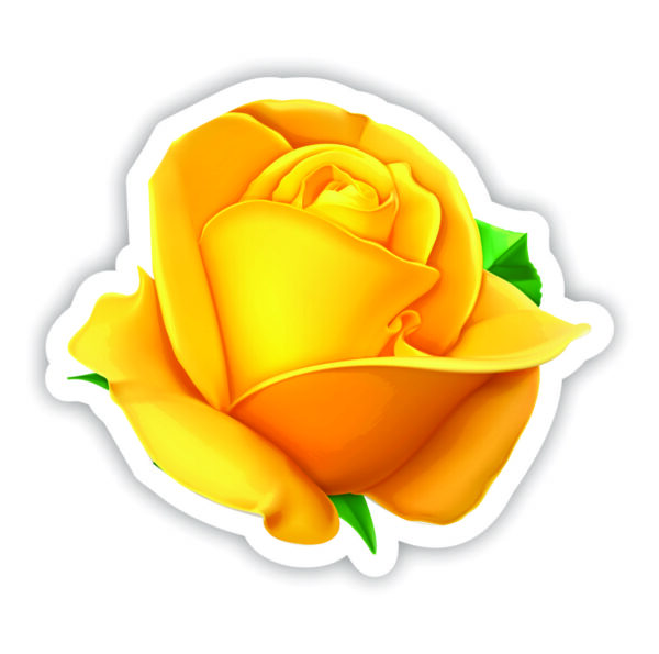 Yellow Rose