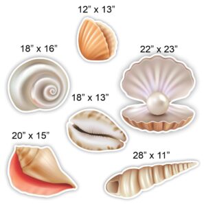 Sea Shells