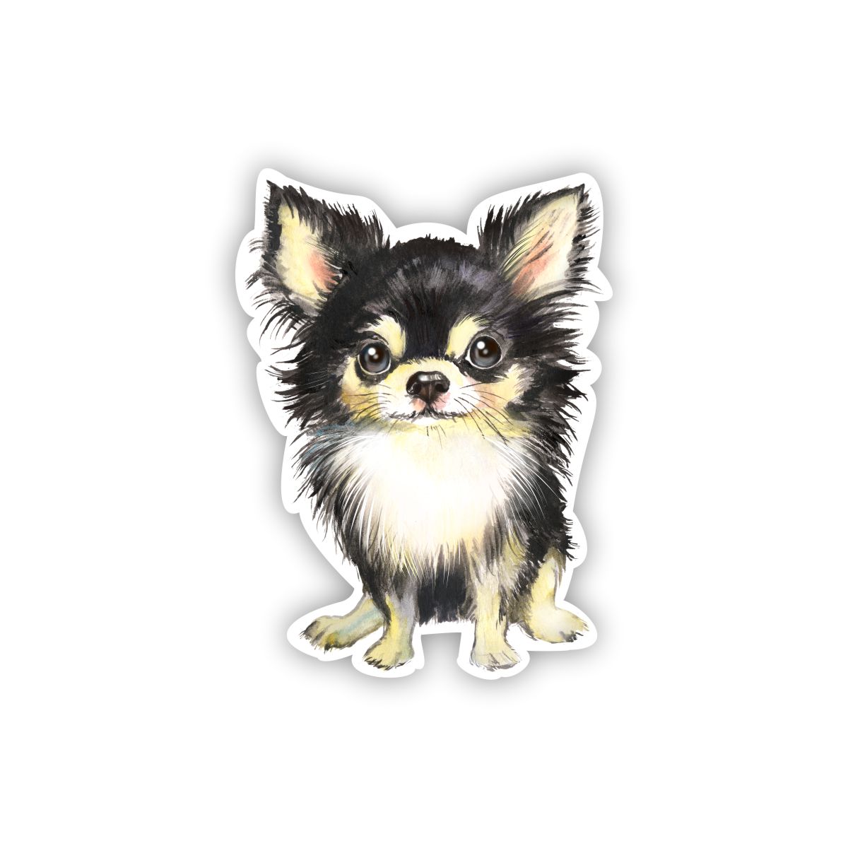 https://signwayonline.net/wp-content/uploads/2021/08/Long-Haired-Chihuahua.jpg