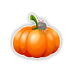 Mouse On A Pumpkin