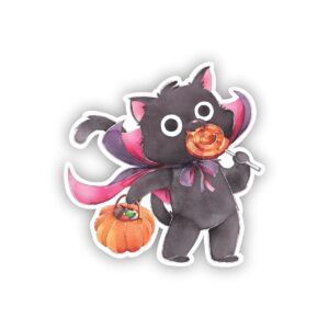 Trick Or Treat Cat