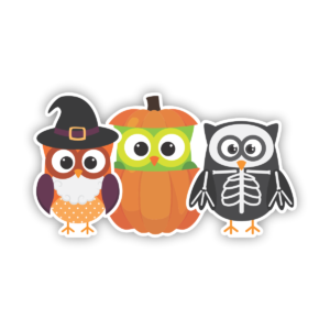 Fall Owls