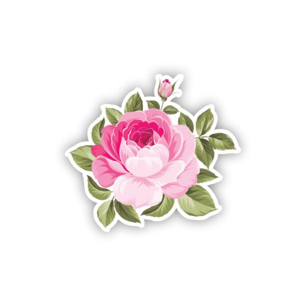 Pink Rose Graphic 1.0