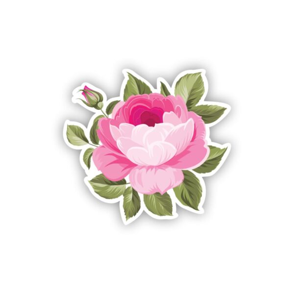 Pink Rose Graphic 4.0