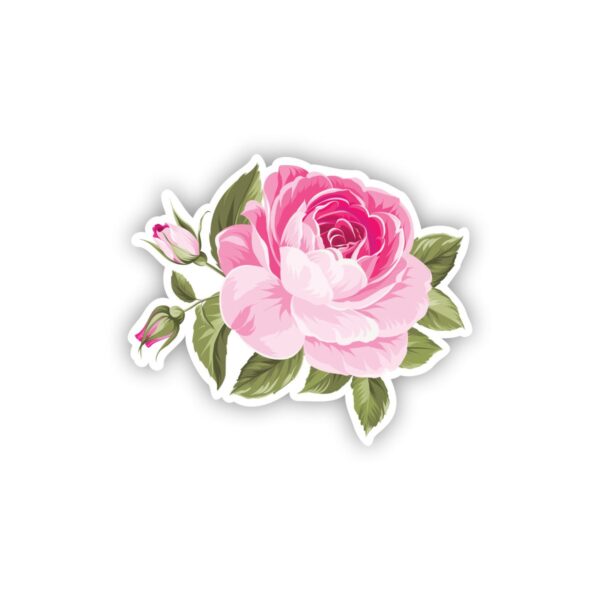 Pink Rose Graphic 2.0