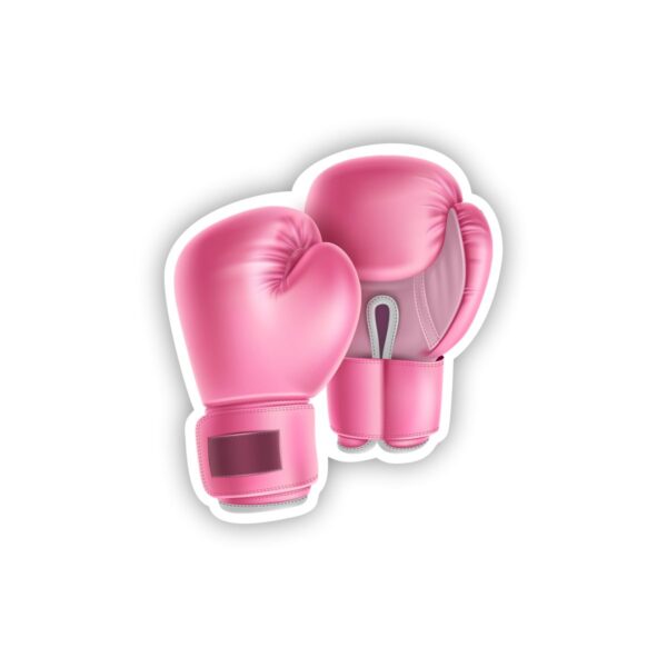 Boxing Gloves