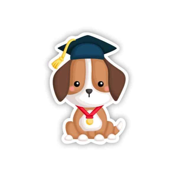 Graduating Dog