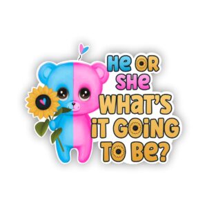 Gender Reveal Bear