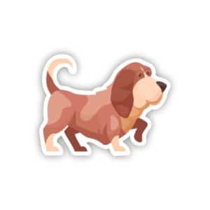 Bassett Hound