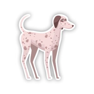 Dalmatian