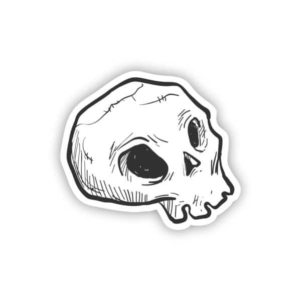 Skull Sketch